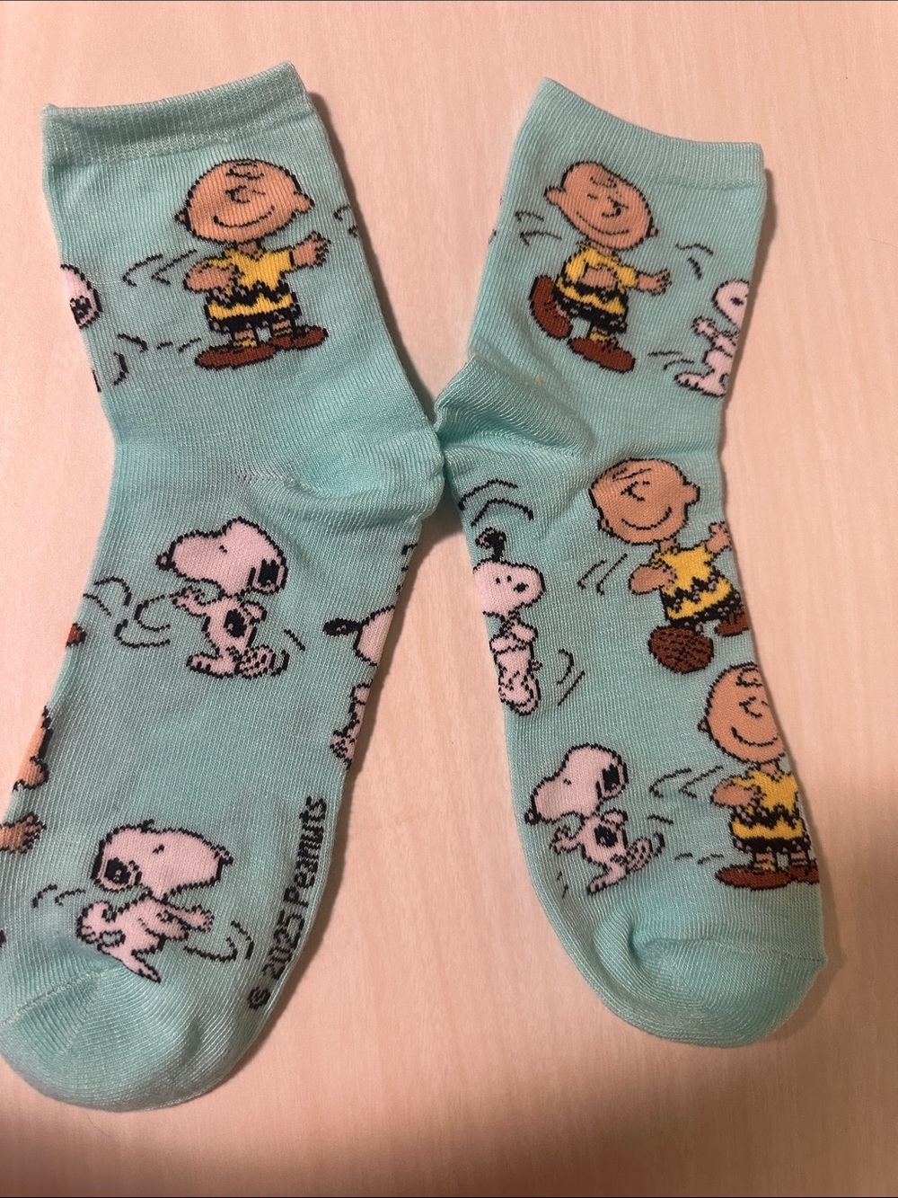Charlie Brown & Snoopy Aqua Novelty Socks